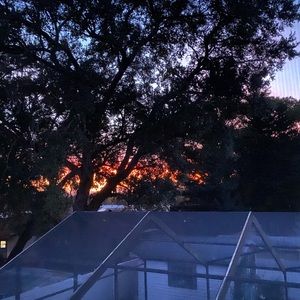 Meet your Posher, Alise